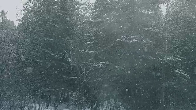 魔法和仙女蓝色雪景视频素材