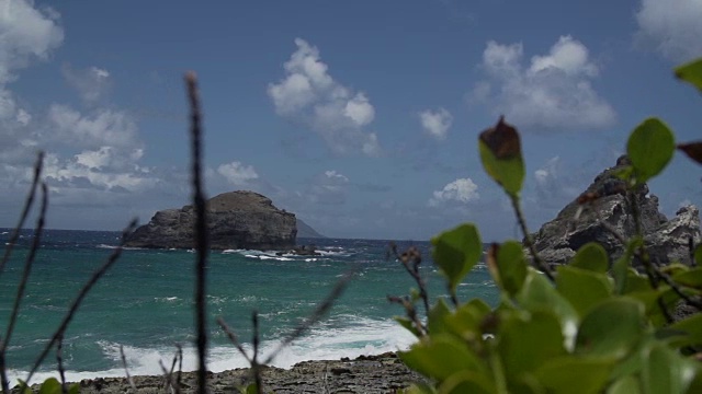 美丽的加勒比海岸，岩石峭壁视频素材