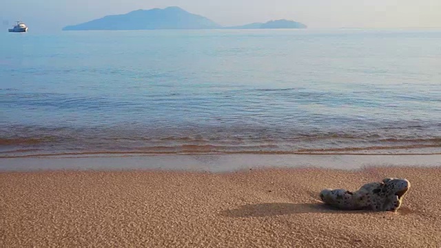 视频热带海滩与歌曲，珊瑚岩和平静的海浪视频素材