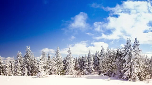 冬季景观与高云杉和雪山视频素材