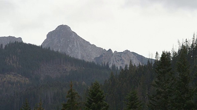 森林和山视频下载