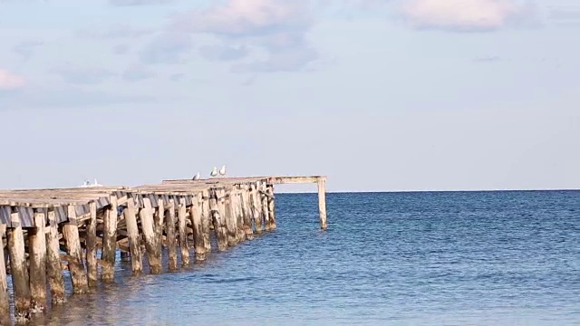 平移拍摄与码头和海景视频素材