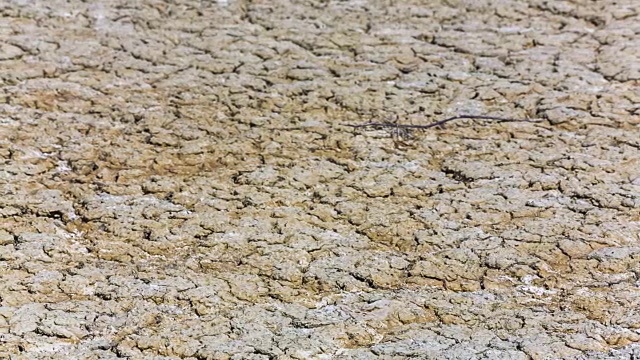 贫瘠的土地与干涸的火山泥视频素材