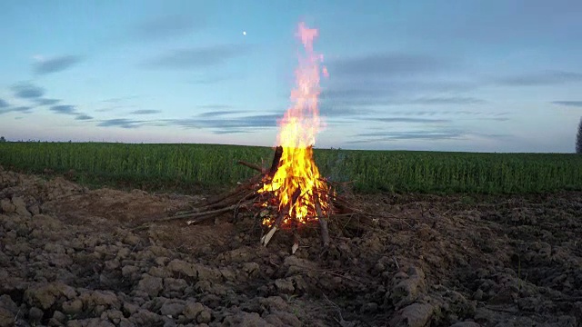 晚上的风景-美丽的篝火篝火的时间视频素材