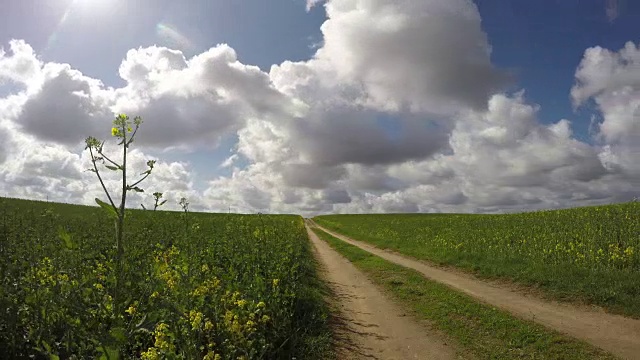 春日的乡村公路和油菜地随云雾而动。间隔拍摄视频素材