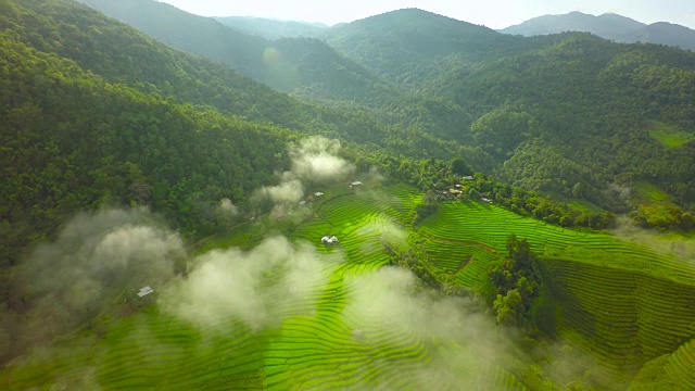 泰国北部水稻梯田航拍，4K视频素材