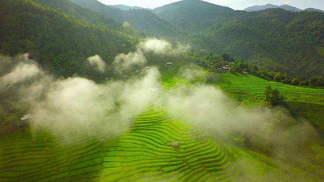 泰国北部水稻梯田航拍，4K视频素材