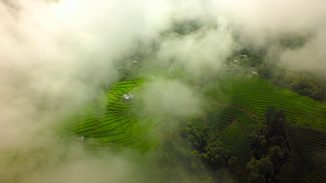 泰国北部水稻梯田航拍，4K视频素材