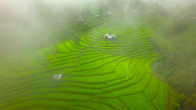 泰国北部水稻梯田航拍，4K视频素材