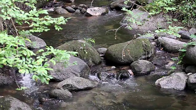 小溪流在岩石上向相机流去视频素材