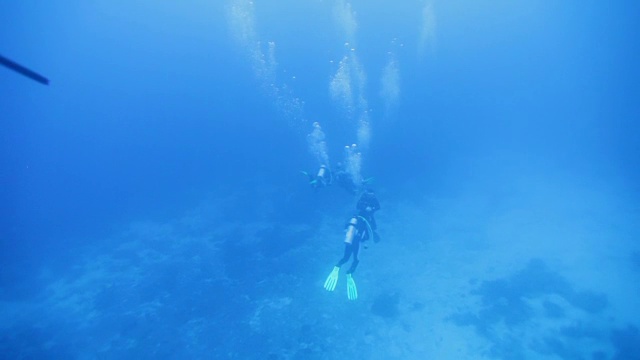 水肺潜水组视频素材