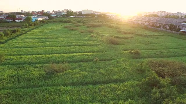 鸟瞰图，穿越自然绿色空间，住宅项目视频素材