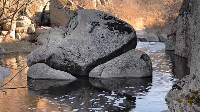 景观与河流和芦苇视频素材