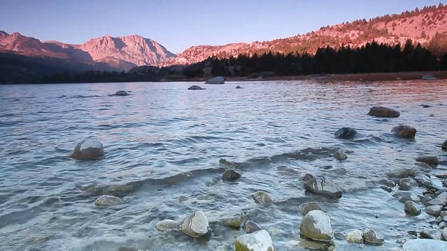 六月湖岸在黎明倾斜视频素材