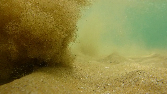 浅水里的水下脚步视频下载