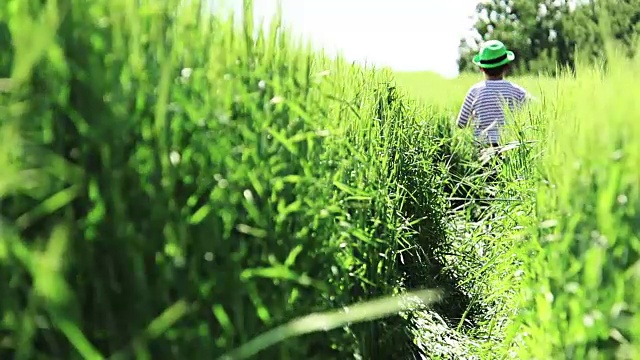 男孩在田野的高草中奔跑视频素材