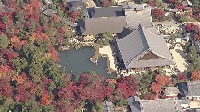 空中，岚山和佐野地区，京都，在树叶季节视频素材