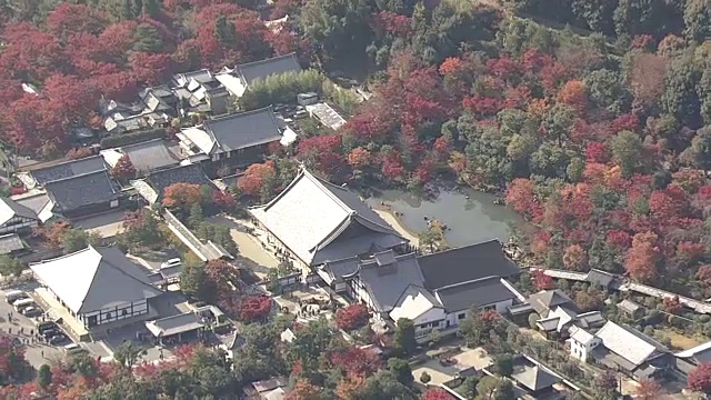 空中，岚山和佐野地区，京都，在树叶季节视频素材