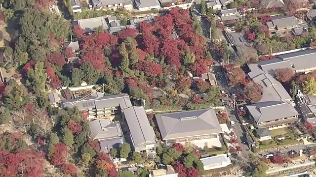 空中，岚山和佐野地区，京都，在树叶季节视频素材