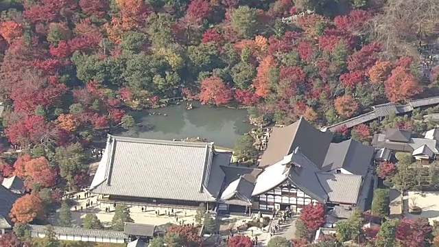 空中，岚山和佐野地区，京都，在树叶季节视频素材