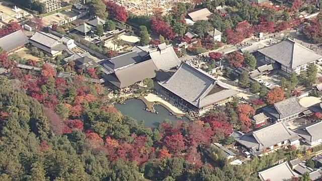 空中，岚山和佐野地区，京都，在树叶季节视频素材