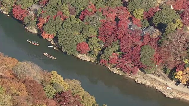 空中，岚山和佐野地区，京都，在树叶季节视频素材