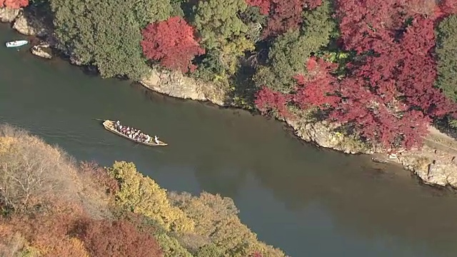 空中，岚山和佐野地区，京都，在树叶季节视频素材