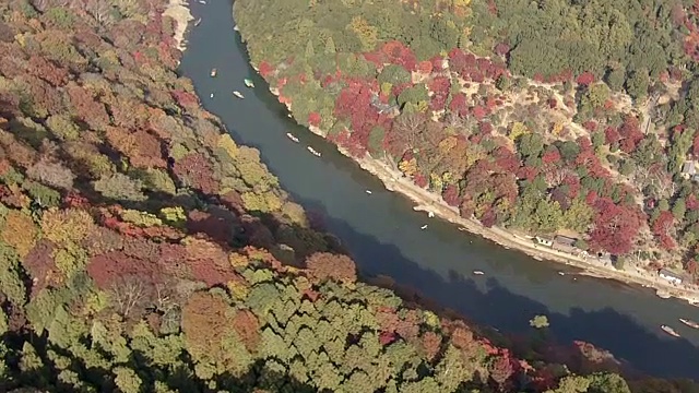 空中，岚山和佐野地区，京都，在树叶季节视频素材