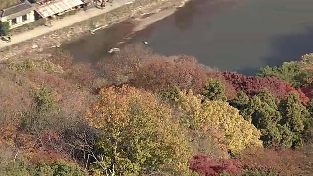 空中，岚山和佐野地区，京都，在树叶季节视频素材