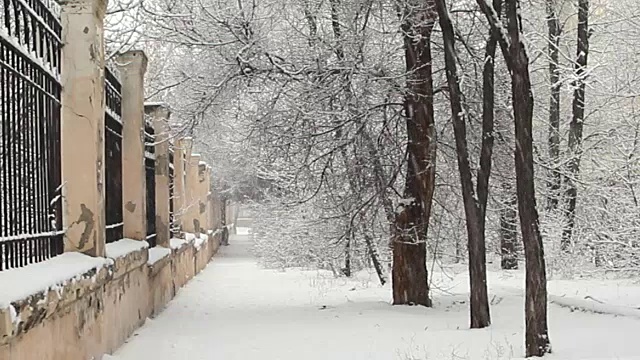 公园小巷在一个下雪的冬天视频素材