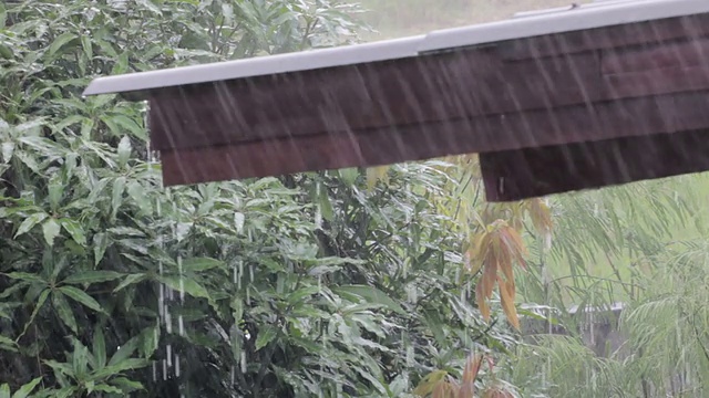 下雨视频下载