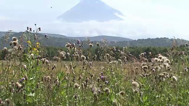 堪察加半岛。火神。视频素材