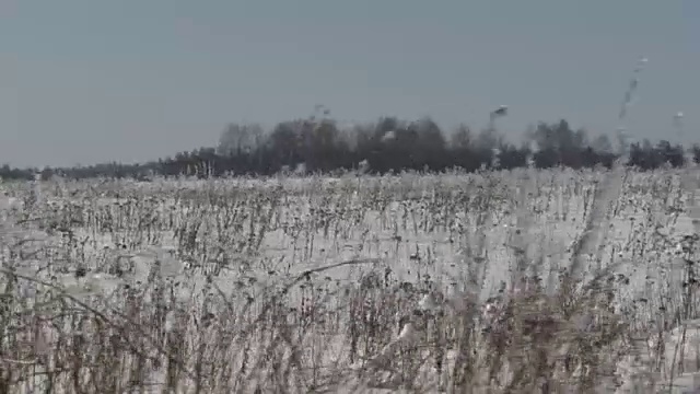 圣诞节的冬天场景。雪覆盖的领域视频下载