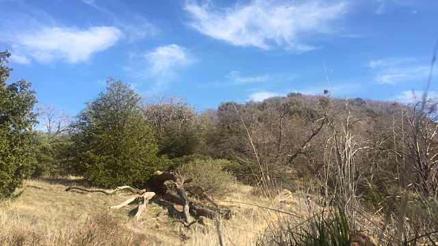 在山间徒步旅行的女人视频素材