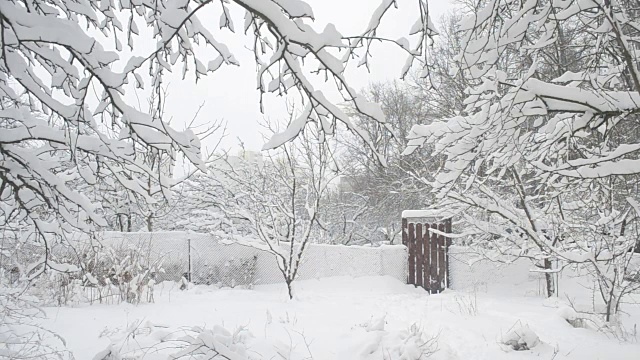 雪花飘落在乡间，背景是三柱门和树木视频素材