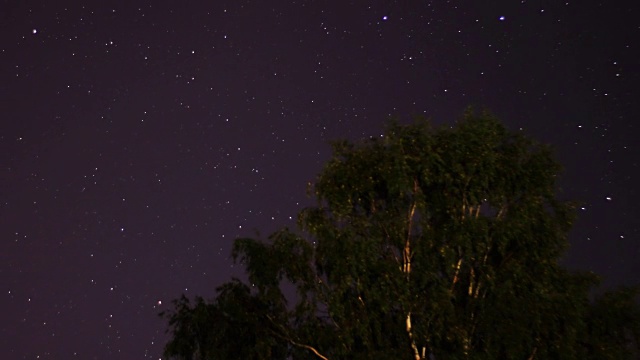 夜空时隐时现，前景中有一棵树视频下载