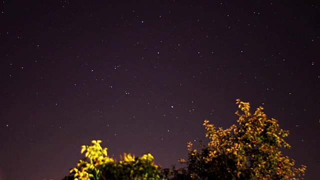 夜空时隐时现，前景中有一棵树视频素材