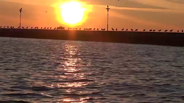 日出在海港与长凳和海鸥视频素材