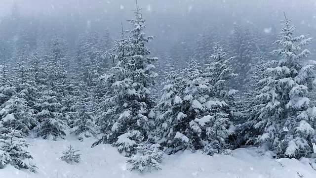 冬天的公园里下雪了视频素材