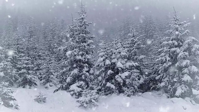 冬天的公园里下雪了视频素材