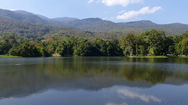 公园里的山和池塘视频素材