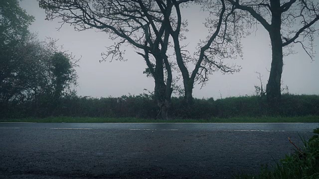 雨雾中乡村道路上的汽车视频素材