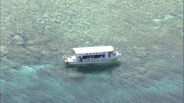 珊瑚礁，石垣岛，冲绳县，航拍视频素材