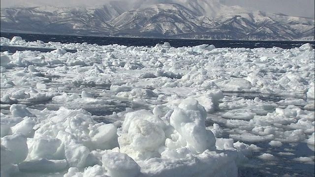 冬季，海冰向海岸扩张，鄂霍次克海，知床，北海道视频素材