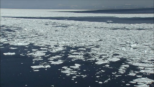 日本北海道知床海岸浮冰视频素材