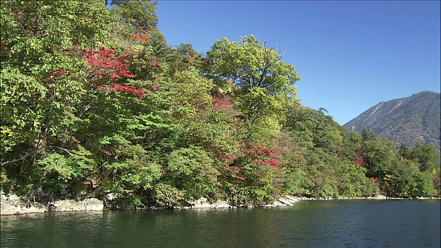 向前，经过中禅寺湖边的树木，背景是山，日光，枥木视频素材