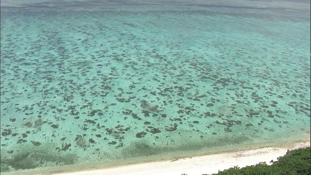 珊瑚礁，石垣岛，冲绳县，航拍视频素材