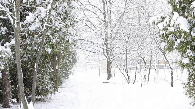 雪花斜落在雪白的背景上视频素材