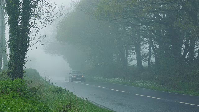 汽车在雨和雾中穿过树林视频素材