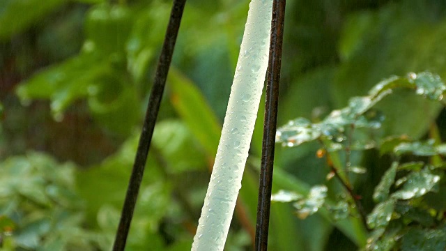 洒水喷头在花园视频素材